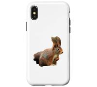 Sciurus vulgaris Écureuil Roux eurasien Coque pour iPhone X/XS