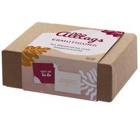 SCM Encouragement quotidien : 50 versets bibliques et bénédictions