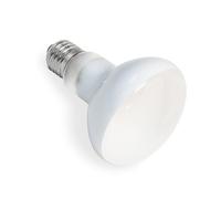 SCNNC Ampoule Chauffante Terrarium 100W UVA E27 R80 Basking Spot, AC 220V Lampe Chauffante Reptile Lumière du Jour, E27 Ampoule Chauffante pour Reptile et Amphibien, Tortues, Lézards, 1 Pièce