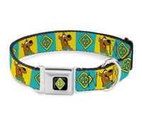Scooby Doo Collier pour chien avec boucle de ceinture de sécurité en métal Jaune Bleu 24 à 33 cm Largeur 2,5 cm