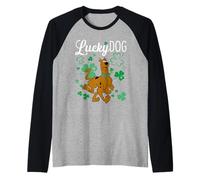 Scooby-Doo Lucky Dog Shamrocks Manche Raglan
