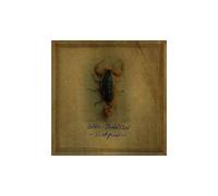 Will Johnson – Scorpion – CD (Digi)