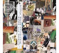 Scotch Broom Collective - Insects and Water