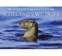 Scotland's Wildlife: Picturing Scotland: A photographic celebration of Caledonia's creatures, great and small