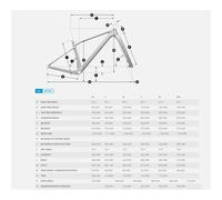 Scott Bikes Vtt Scale 20 29´´ Deore Rd-m6200 12s 2027