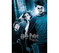 Scott Chorny Poster Stop Online Harry Potter et le Prisonnier d'Azkaban - Affiche de film/impression (taille : 61 x 91,4 cm)