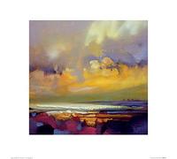 Scott Naismith (Rising 40 x 40 cm Toile Imprimée