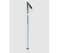 Scott Sea Poles Argenté 110 cm Homme,Femme
