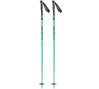 Scott Sea Poles Argenté 105 cm Homme,Femme