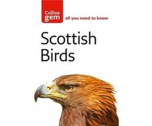 Scottish Birds by Valerie Thom Paperback Book Valerie Thom (Auteur)