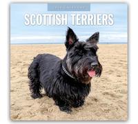 Scottish Terriers 2026 Square Wall Calendar