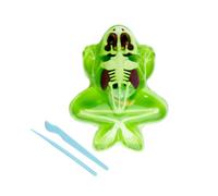Simba Kit de recharge Scout Dissect-It Grenouille 16 cm – Squelette & organes à assembler dès 5 ans