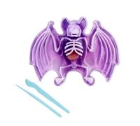 Scout Dissect-It Kit de Recharge pour Dissection Chauve-Souris 14 cm Squelette et Organes à Assembler Outils à partir de 5 Ans