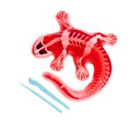 Scout Dissect-It Salamander