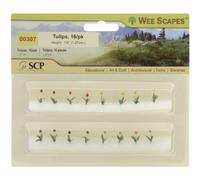 SCP Tulipes .5-inch 16/Prodige, d'autres, Multicolore