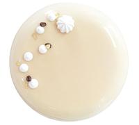 ScrapCooking - Moule à Entremets Rond « Essentiel » - Moule Silicone Dôme 3D - ⌀ 21 cm - Qualité Professionnelle - Moule Pâtisserie, Dessert, Gâteau - Avec Recette - Blanc - 2890