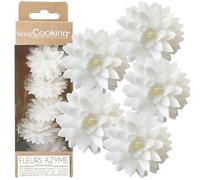ScrapCooking - 5 Dahlias Blancs en Azyme - Fleurs Comestibles pour Décoration Gâteau - Déco Florale Pièce-Montée, Cupcakes, Pâtisseries - Anniversaire, Mariage - 2295