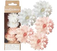 ScrapCooking - 5 Dahlias Blancs & Rose en Azyme - Décorations Alimentaires - Fleurs Comestibles pour Gâteaux, Pâtisserie - 2297