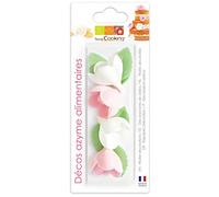 ScrapCooking Décos Azymes 4 Roses Assorties et 6 Feuilles Vertes - Blister