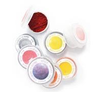 SCRAPCOOKING Lot de 9 mini-colorants en poudre Artificiels *
