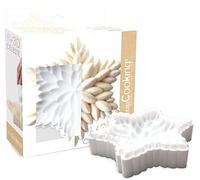 ScrapCooking - Moule en Silicone 3D « Céleste » - Ø 23 x 5 cm - Qualité Professionnelle - Moule en Relief Entremets, Pâtisserie, Gâteau - Étoile, Flocon - Avec Recette - Blanc - 2895