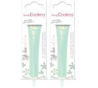 ScrapCooking - Stylo Choco Vert d’Eau - Crayon Alimentaire Pâtisserie 25 g - Stylo Décoratif Comestible - Écrire & Dessiner sur Desserts, Gâteaux & Biscuits Anniversaire - 6815 (Lot de 2)