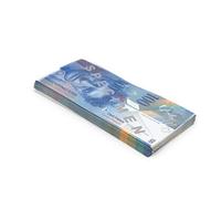 Scratch Cash 100 x 100 Francs Suisses Huitième Série Argent pour Jouer (taille augmentée à 150%)