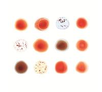 Scratch My Back And I'll Scratch Yours Coffret CD