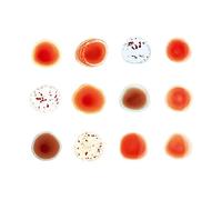 Peter Gabriel – Scratch My Back And I'll Scratch Yours – Coffret CD – Édition Deluxe