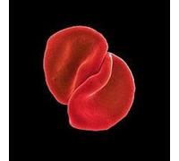 Scratch My Back by Gabriel,Peter [Audio CD] NEUF