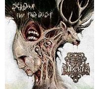 Scream From The East