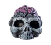Scream Whistle - Halloween Whistle | Scary Whistlee, Aztec Brain Ghost Whistlee, Scary Brain Design Prank Warning Tool For Youth Photo Prop Camping Hiking Nighttime Haunted And House