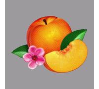 SCREAMER - Pop CD, Phoenix - Bankrupt! (2CD Deluxe Edition)[002kr]