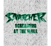 Screaming at the Wall [Import allemand]