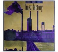 Screaming Trees – Buzz Factory – Vinyle 12" coloré – Import