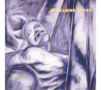 Dust – CD – Epic