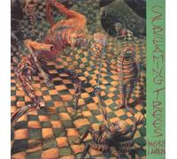 Screaming Trees – Invisible Lantern – Édition importée