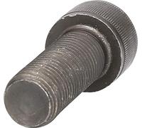 Screw M22x60 12.9, ob, hexsocket