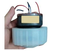 Scrubber C2173 M13-D, Compatible for Dreame H12 H12S HHR24A, Scrubber Replacement Motor.