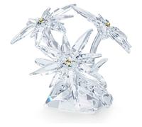 SCS Edelweiss OS