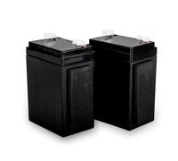 SCS Sentinel, AAM0139, Lot de 2 Batteries de Secours 2,2AH 12/24V (pour modèles 2), BatteryGate 2