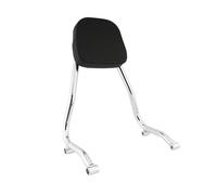 SCSTHRCRA Porte-Bagages Arrière pour Moto B&MW R18, R18 Et R18 Classic 2020-2023, Porte-Bagages, Dossier Passager Porte-Bagages arrière pour Moto(Chrome)