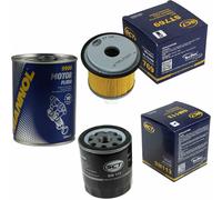 SCT Inspection Set Filtre Set + Motor Flush Motorspülung 11582196