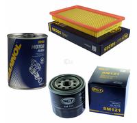 SCT Inspection Set Filtre Set + Motor Flush Motorspülung 11583108