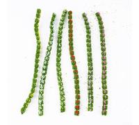 Sculptez votre scène idéale avec diverses herbes statiques pour touffes Un ensemble de plantes à fleurs miniatures colorées