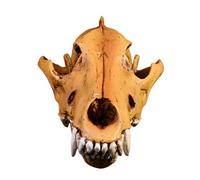 Sculpture de crâne de loup en résine réaliste - Répliques de squelette pour salle de classe - Aide à l'enseignement - Décoration d'intérieur - Cadeau - Figurine de crâne de loup