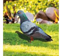 Sculpture de pigeon sauvage : améliorez votre espace extérieur avec cette belle décoration de cour (B)