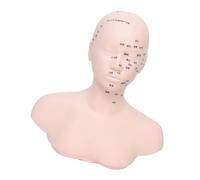 Sculpture de tête pour l'entraînement de beauté avec des points de vue définis pour les techniques d'art et de spa. Mannequin polyvalent pour la formation professionnelle du visage
