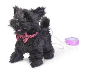 Scurrying Scotty Multicolore G