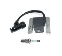 SCVYLNZ Bobine d'allumage for Moteur XT149 XT173 14-584-05-S 1458405-S